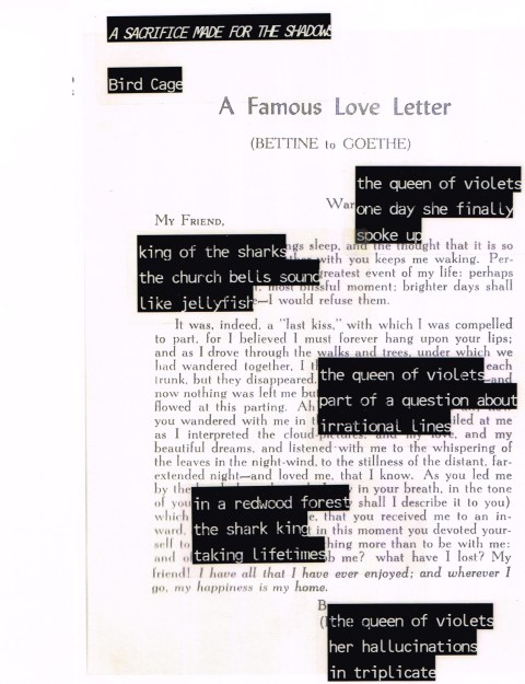 masks one bird cage a